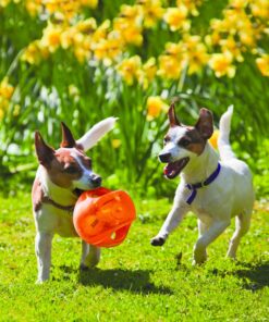 KONG Jumbler Ball presenta una forma sferica con un'impugnatura esterna in gomma resistente, che consente al tuo cane di afferrarla facilmente e giocare.