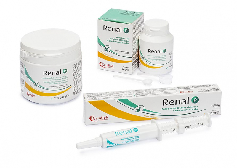 Renal-P-gruppo-ITA-02-800x566