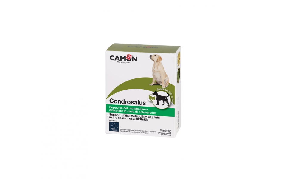 CAMON-Condrosalus-60-compresse-G879