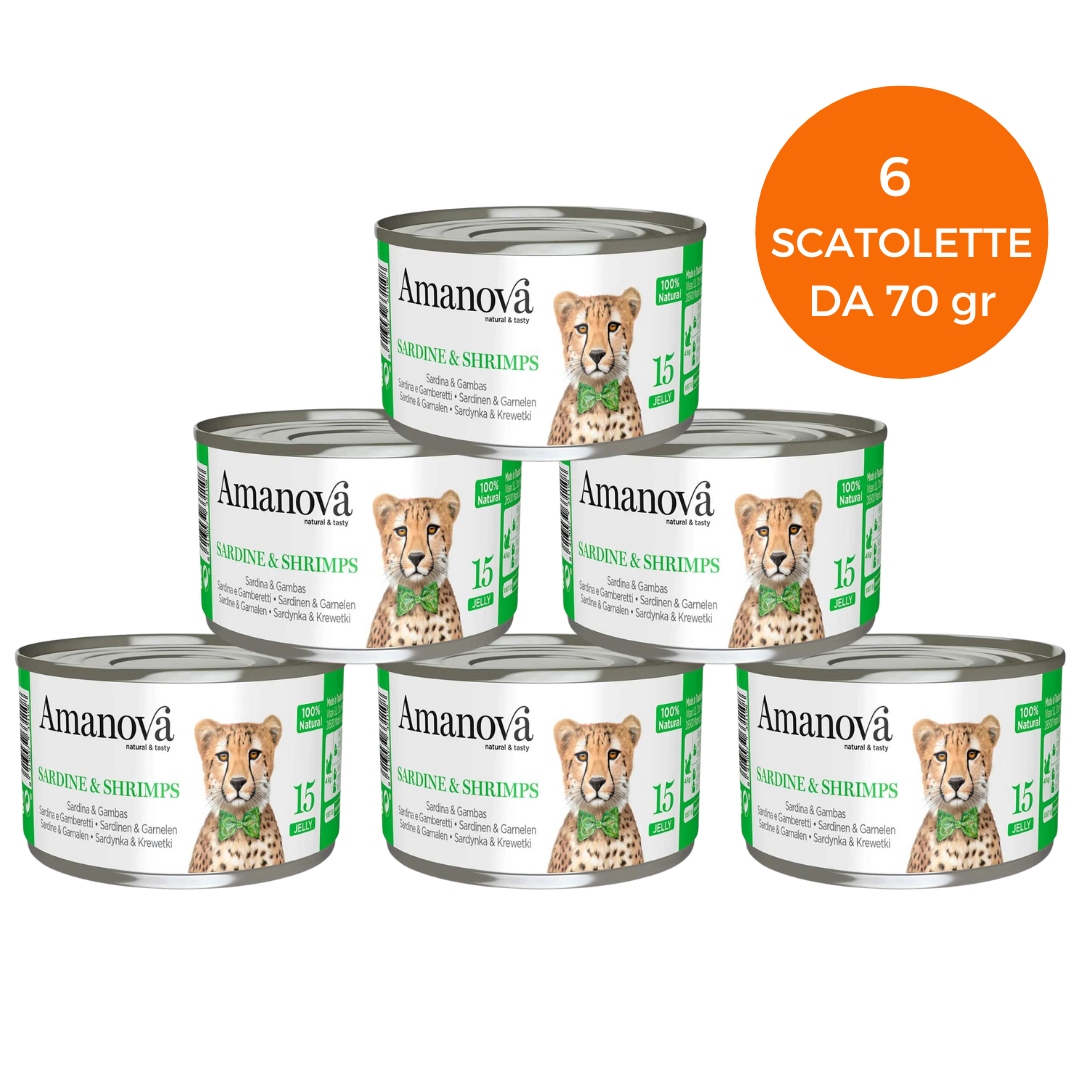 Sardine e gamberetti