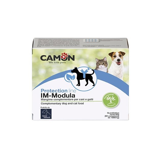 camon-im-modula-