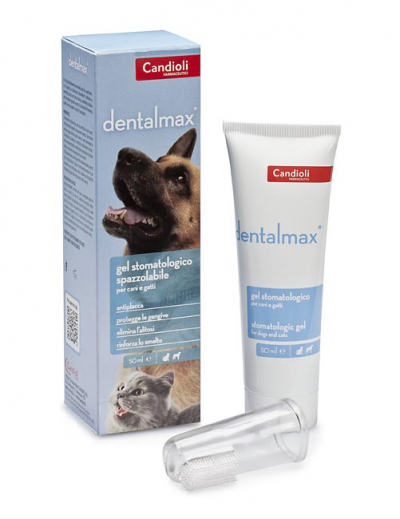 dentalmax-01-400x519