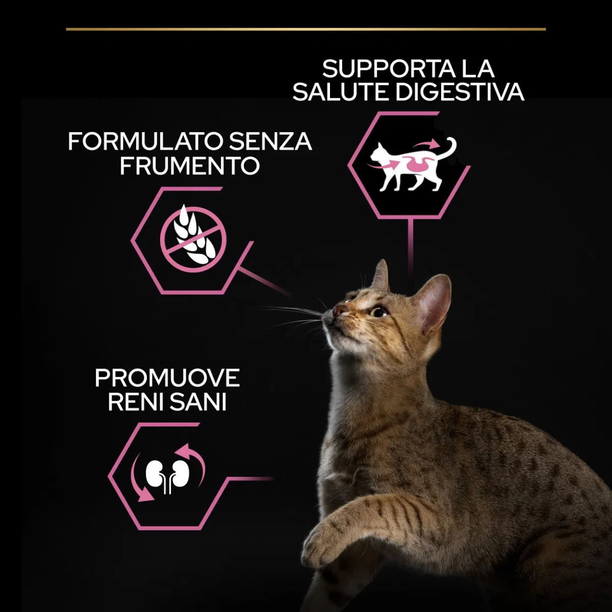 purina-pro-plan-delicate-digestion-adult-1-agnello-gatto