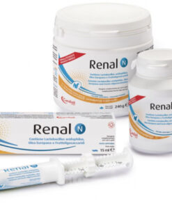 Candioli Renal N