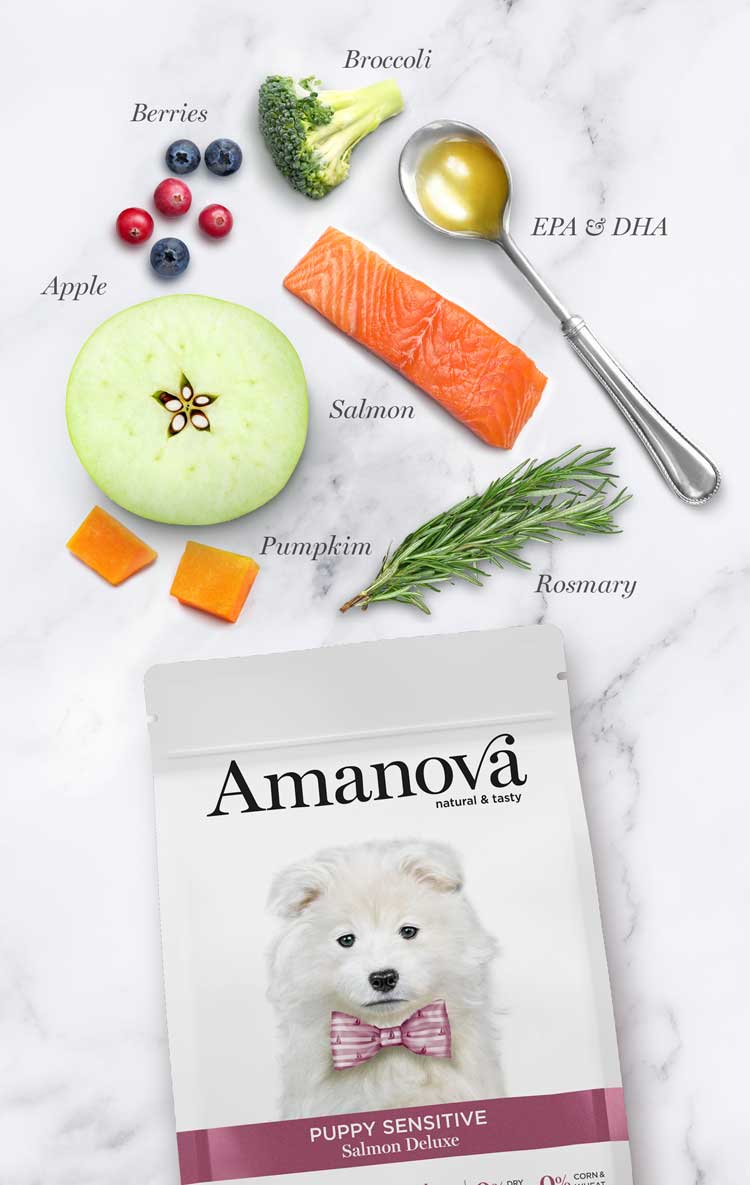 amanova salmon puppy