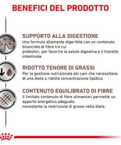 Royal Canin Umido Gastrointestinal Low Fat Cani è un patè dietetico per cani formulato per regolare il metabolismo lipidico e una corretta digestione.