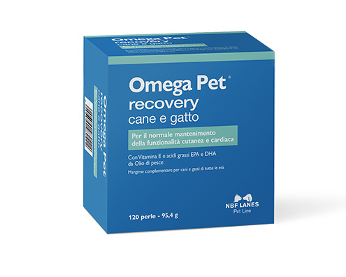 Omega-Pet-Recovery-1