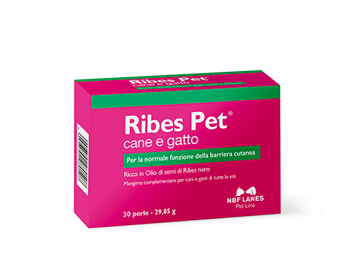 Ribes-Pet