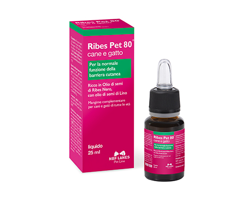 Ribes-Pet80